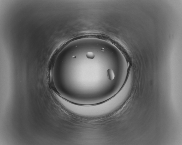 X0000112951357200908241334