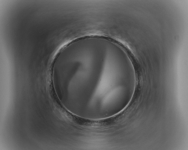 X0000112951359200908241334
