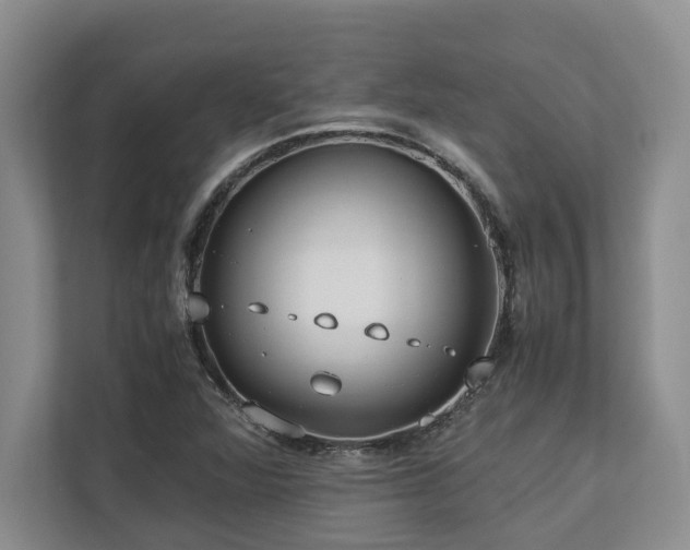 X0000112951360200908241334