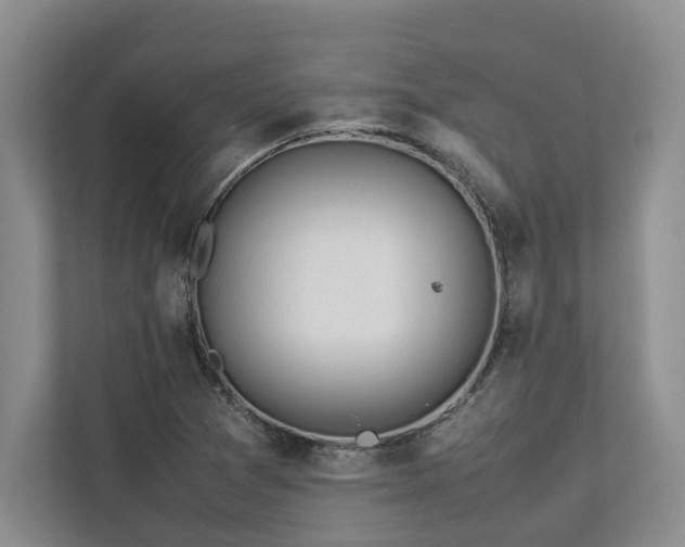 X0000112951361200908241334