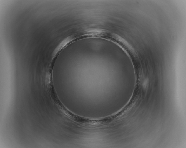 X0000112951362200908241334