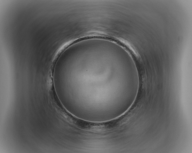X0000112951363200908241334