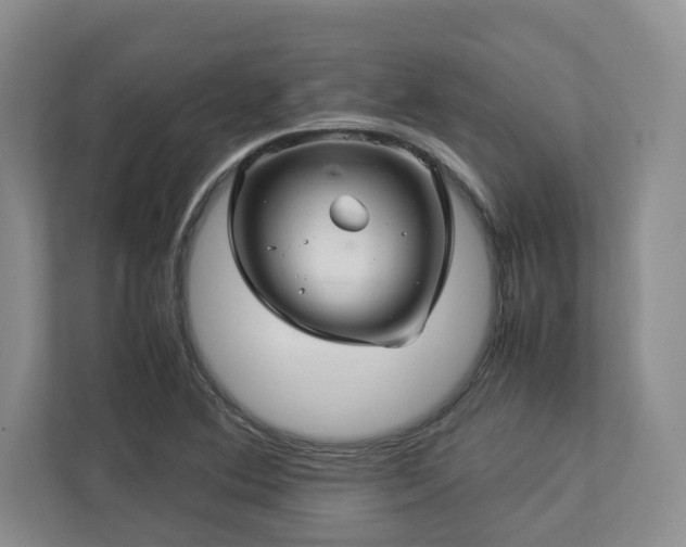 X0000112951364200908241334