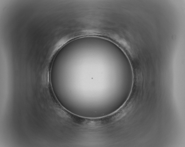 X0000112951365200908241334