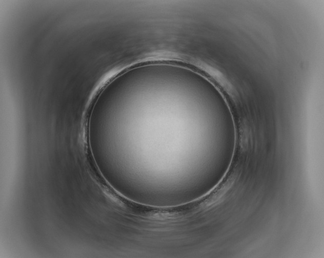 X0000112951366200908241334