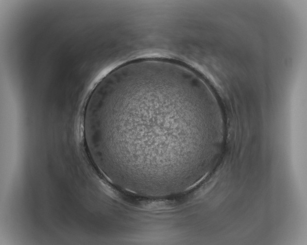 X0000112951367200908241334