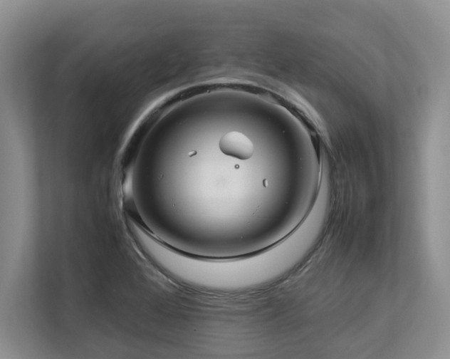 X0000112951368200908241334