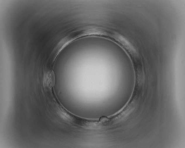 X0000112951369200908241334