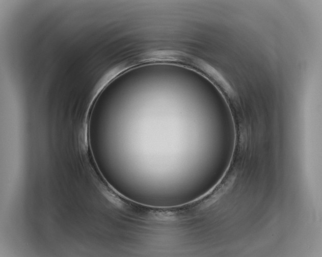 X0000112951370200908241334