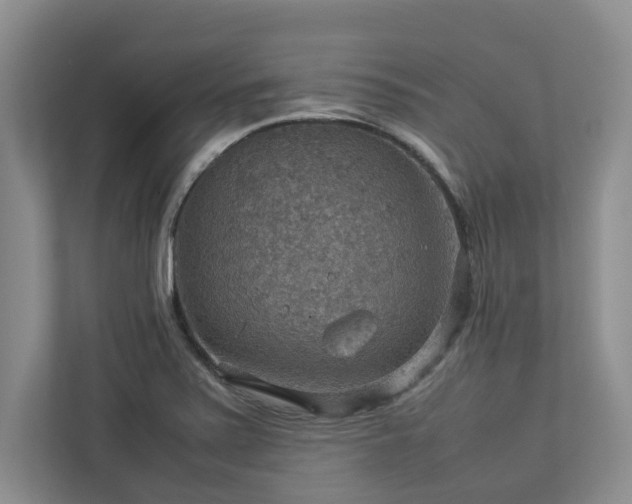 X0000112951371200908241334
