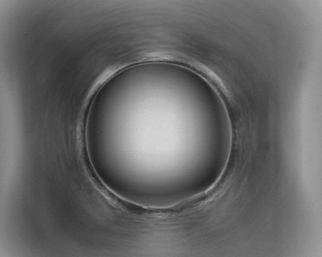 X0000112951373200908241334