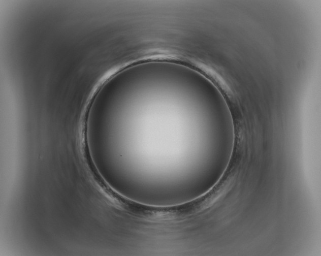 X0000112951375200908241334