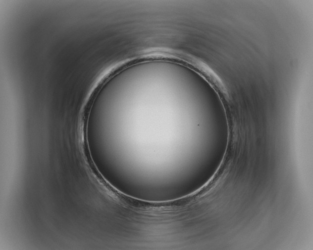 X0000112951376200908241334