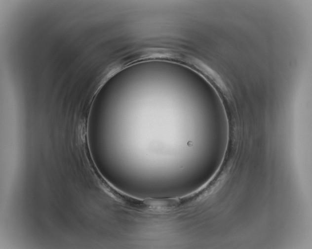 X0000112951377200908241334