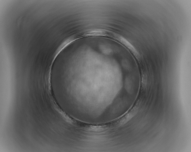 X0000112951378200908241334