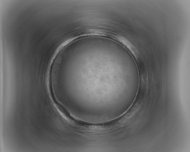 X0000112951379200908241334