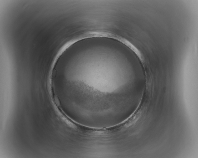 X0000112951381200908241334