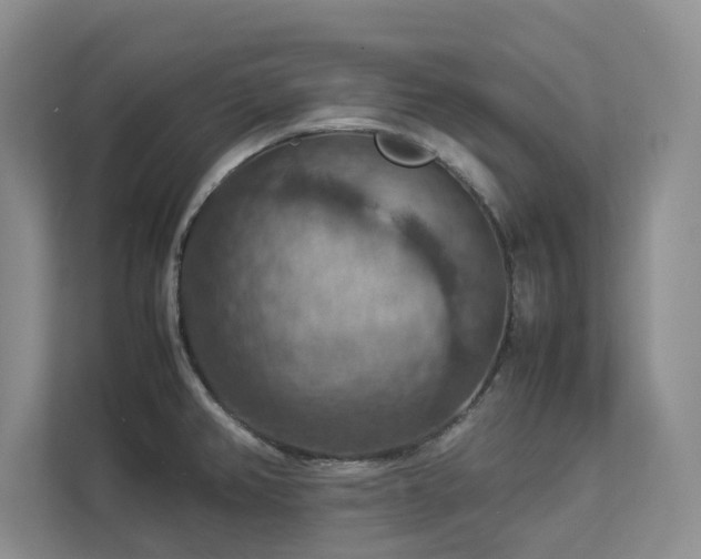 X0000112951382200908241334