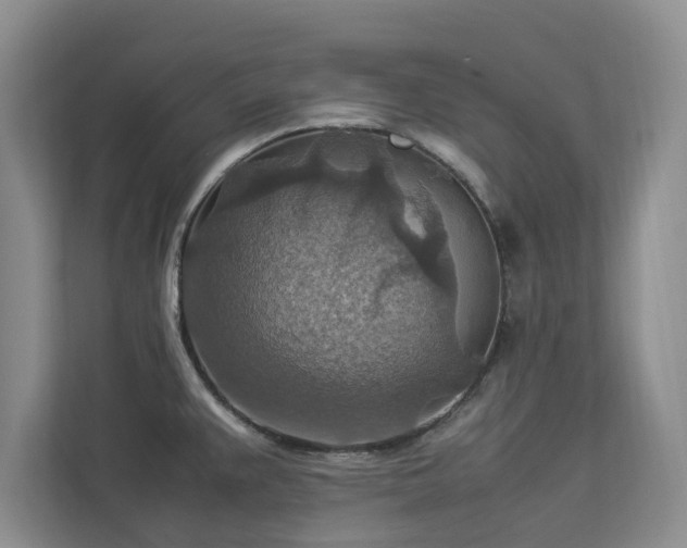 X0000112951383200908241334
