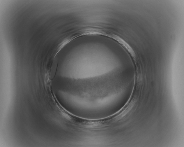 X0000112951385200908241334