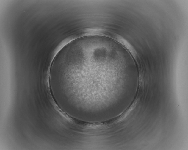 X0000112951386200908241334