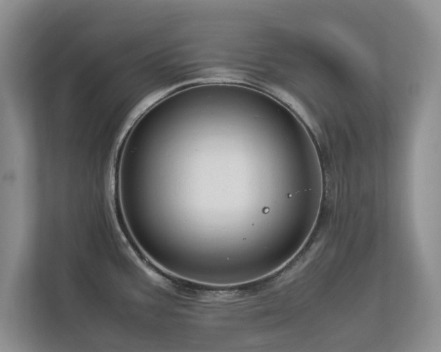 X0000112951387200908241334