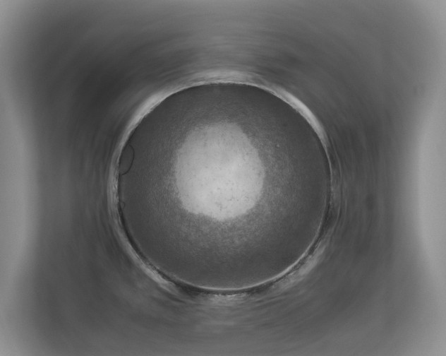 X0000112951389200908241334