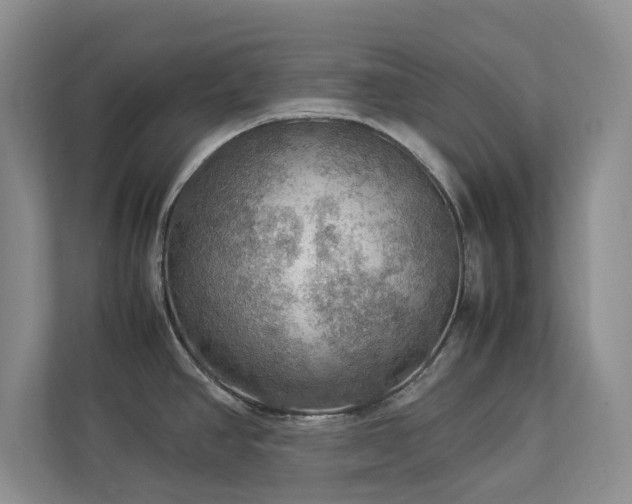 X0000112951390200908241334