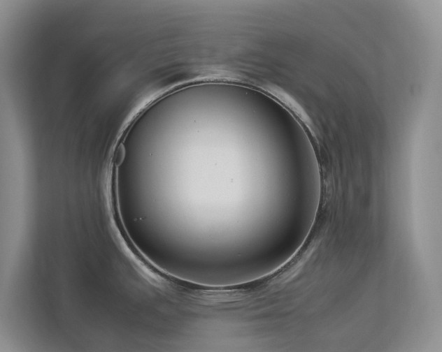X0000112951391200908241334