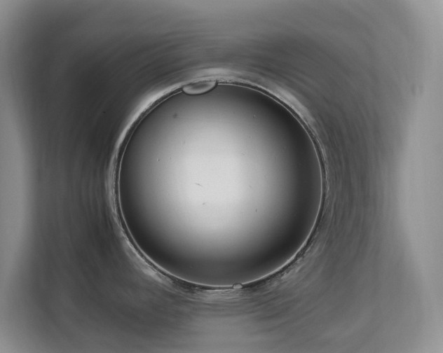 X0000112951392200908241334