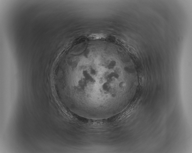 X0000112951393200908241333