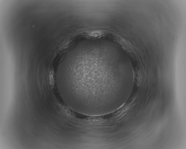 X0000112951394200908241333