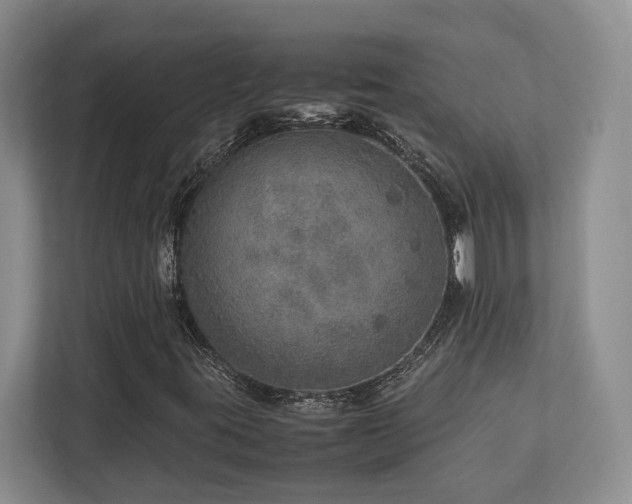 X0000112951395200908241333