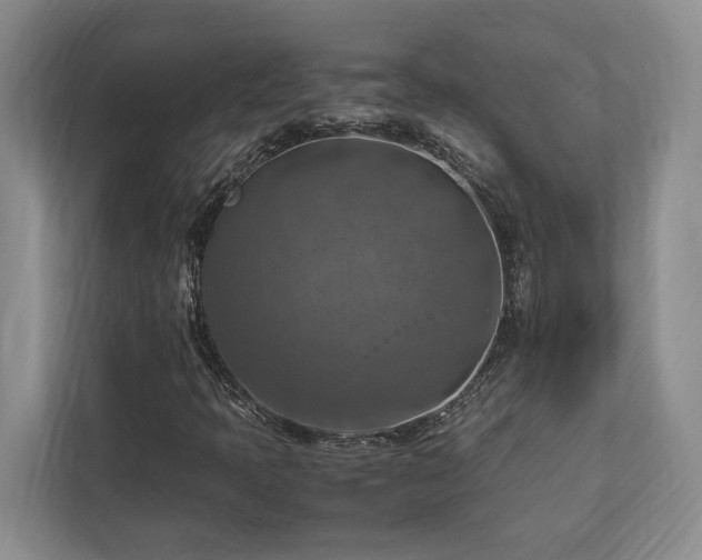 X0000112951397200908241333