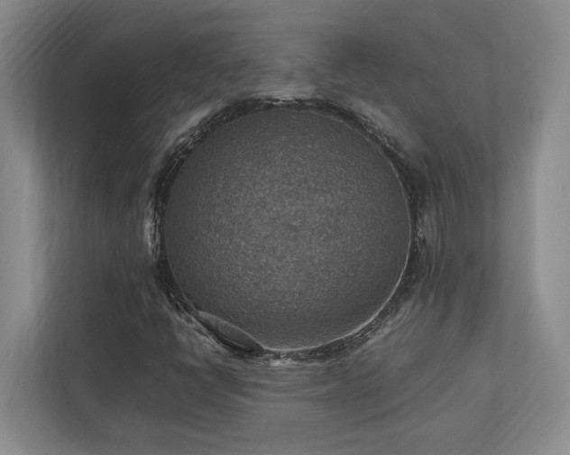 X0000112951398200908241333