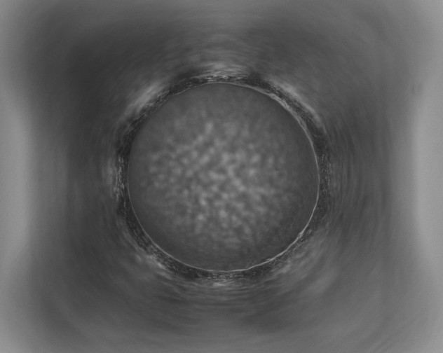 X0000112951399200908241333