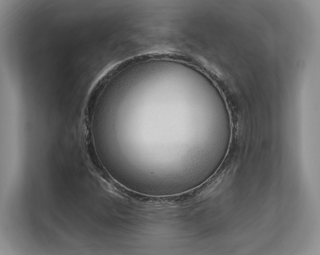 X0000112951400200908241333