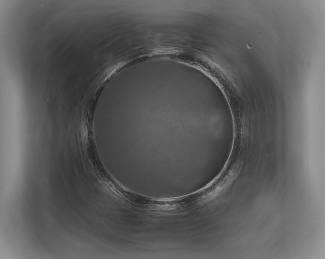 X0000112951401200908241333