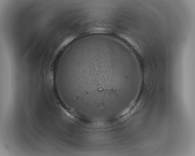 X0000112951402200908241333