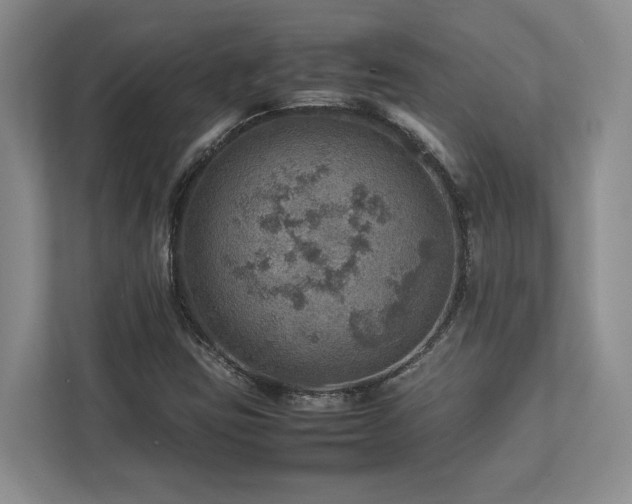 X0000112951403200908241333