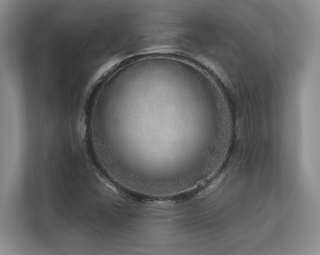 X0000112951406200908241333