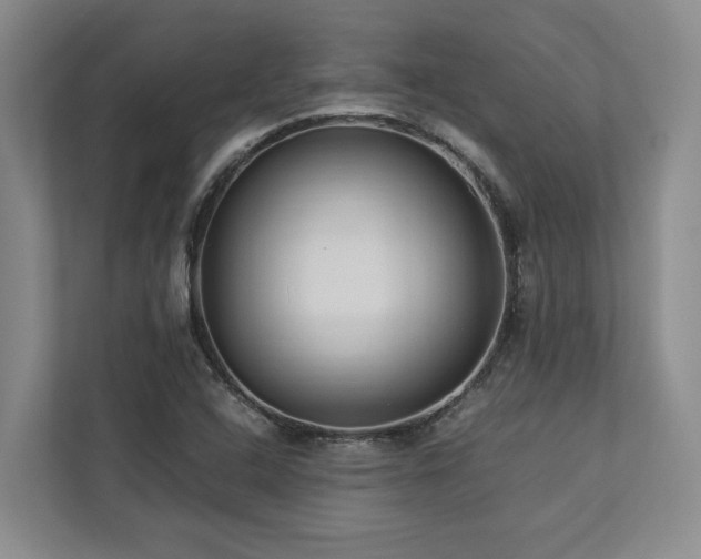 X0000112951408200908241333