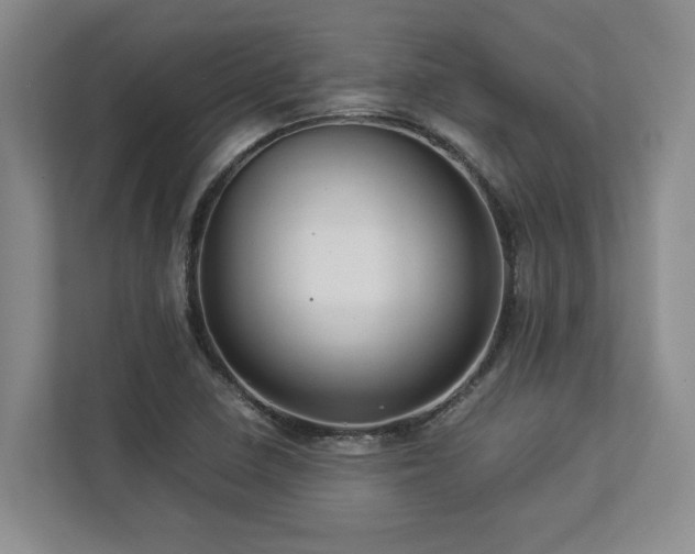 X0000112951410200908241333