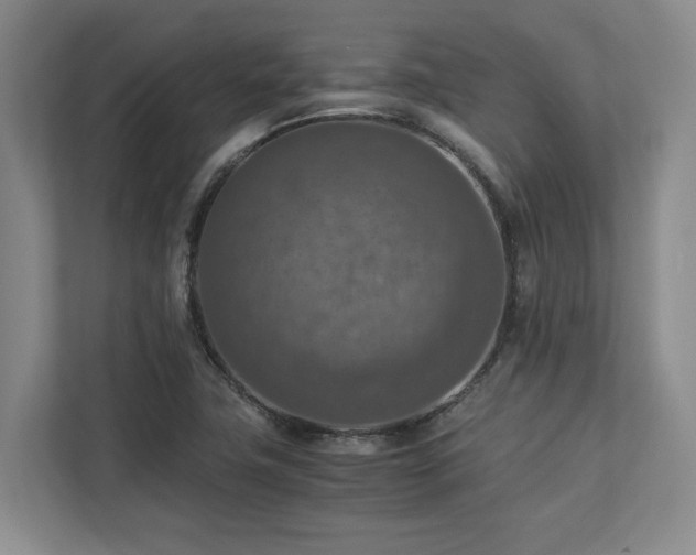 X0000112951411200908241333