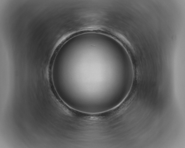 X0000112951412200908241333