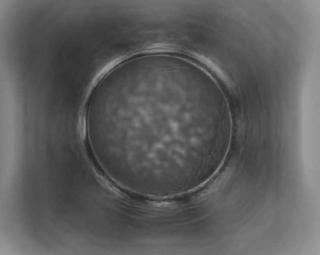 X0000112951413200908241333