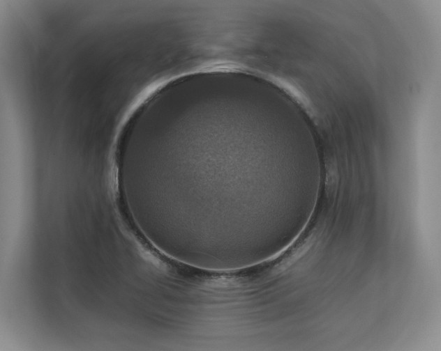 X0000112951414200908241333