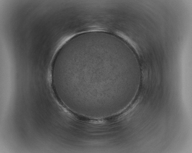 X0000112951415200908241333