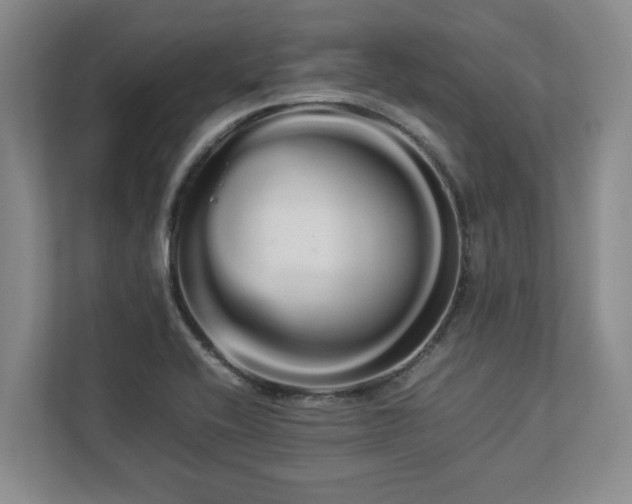 X0000112951416200908241333