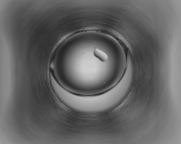 X0000112951417200908241333